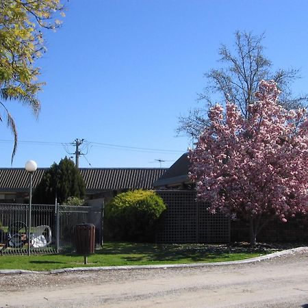 Belvoir Village Motel & Apartments Вудонга Екстериор снимка