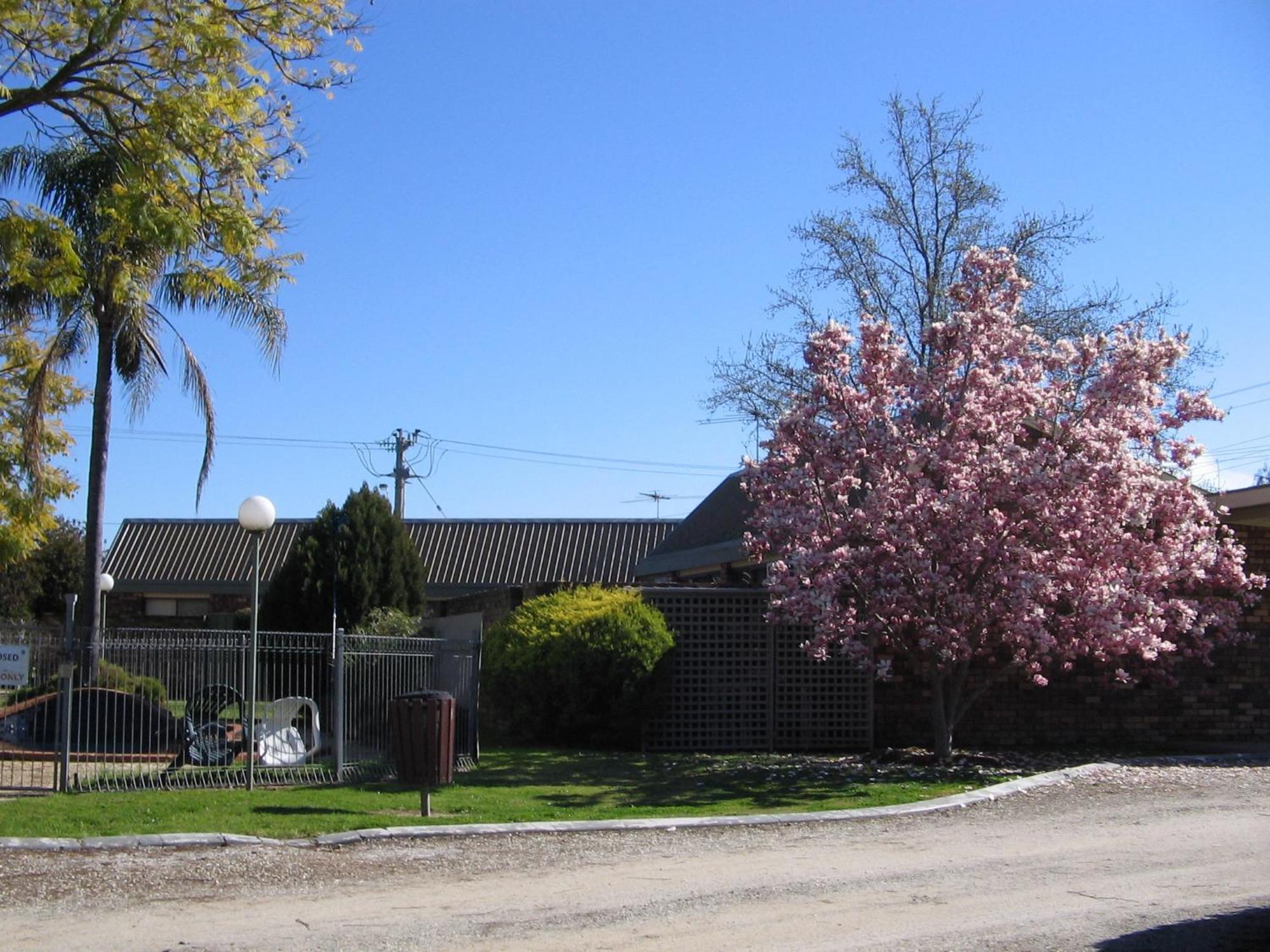 Belvoir Village Motel & Apartments Вудонга Екстериор снимка
